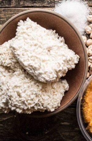 Коджи на рисе