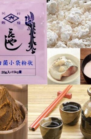 Белый Коджи кин